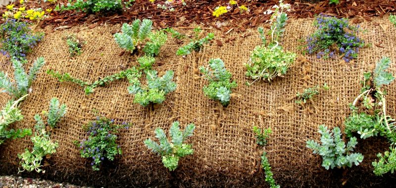 Landscape Erosion Prevention